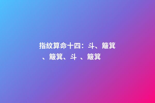 指紋算命十四：斗、簸箕、簸箕、斗、簸箕